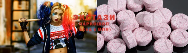 индика Абинск