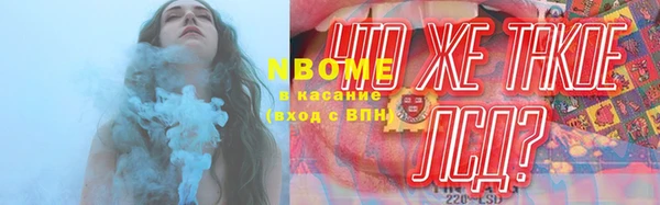 индика Абинск
