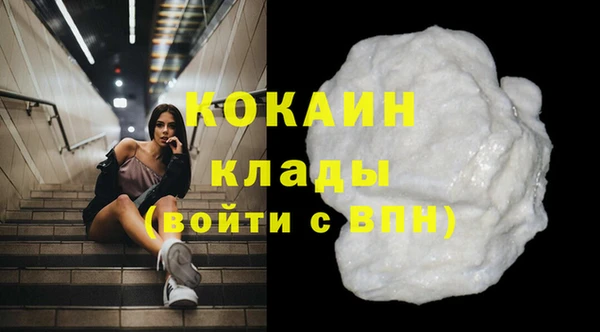 индика Абинск
