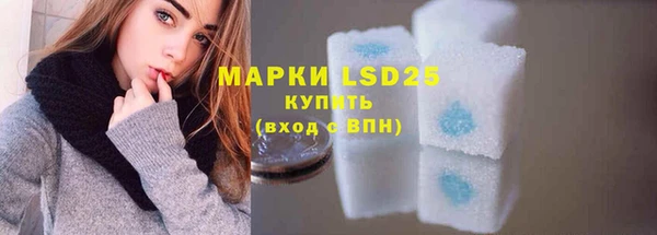 индика Абинск