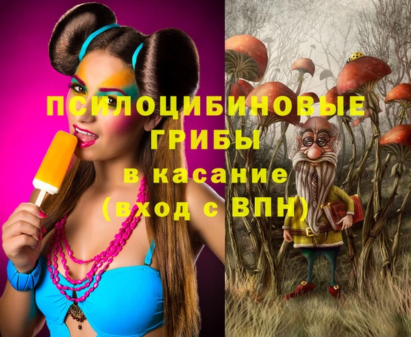 индика Абинск